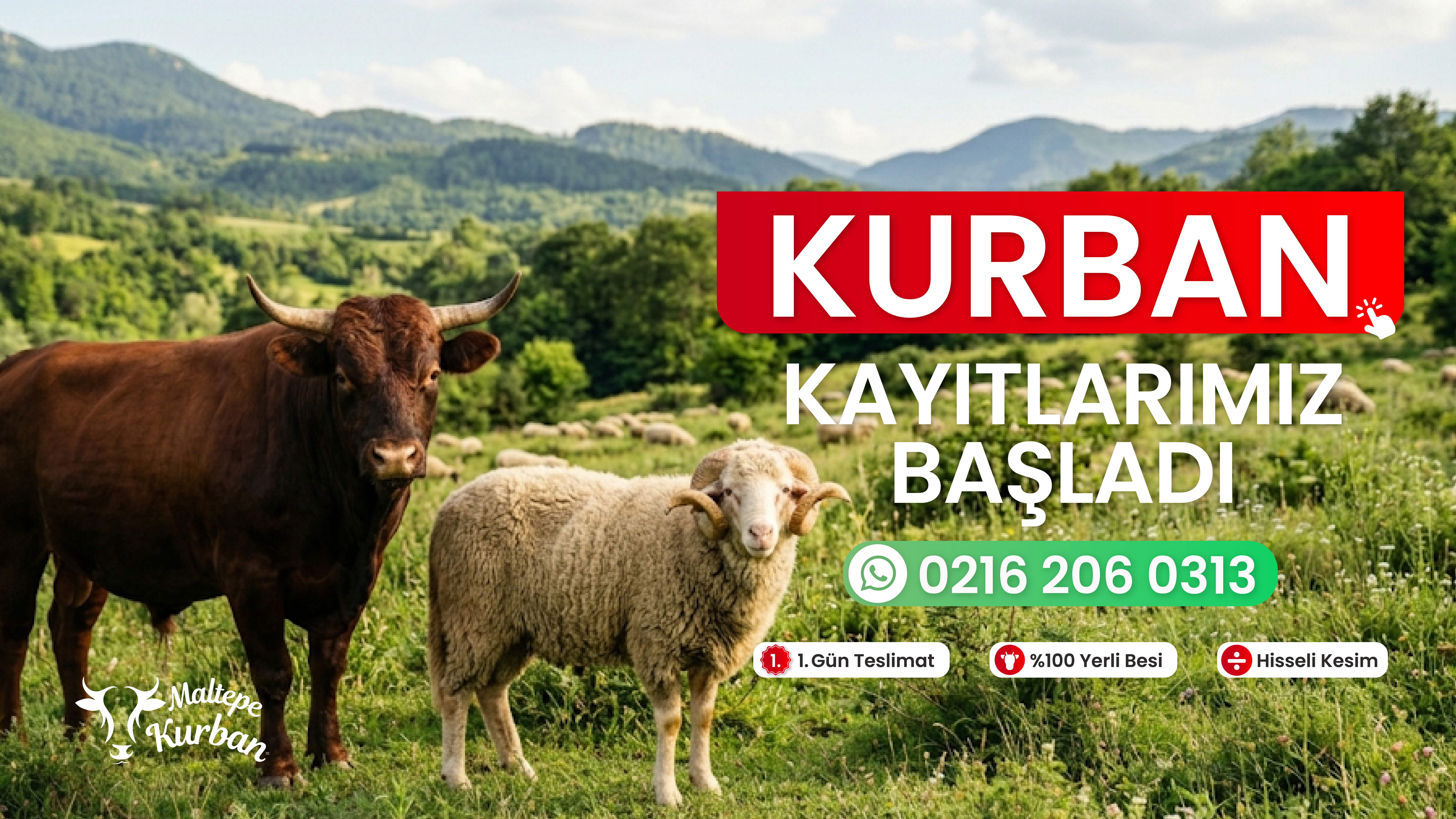 Maltepe Kurban Kampanya 1