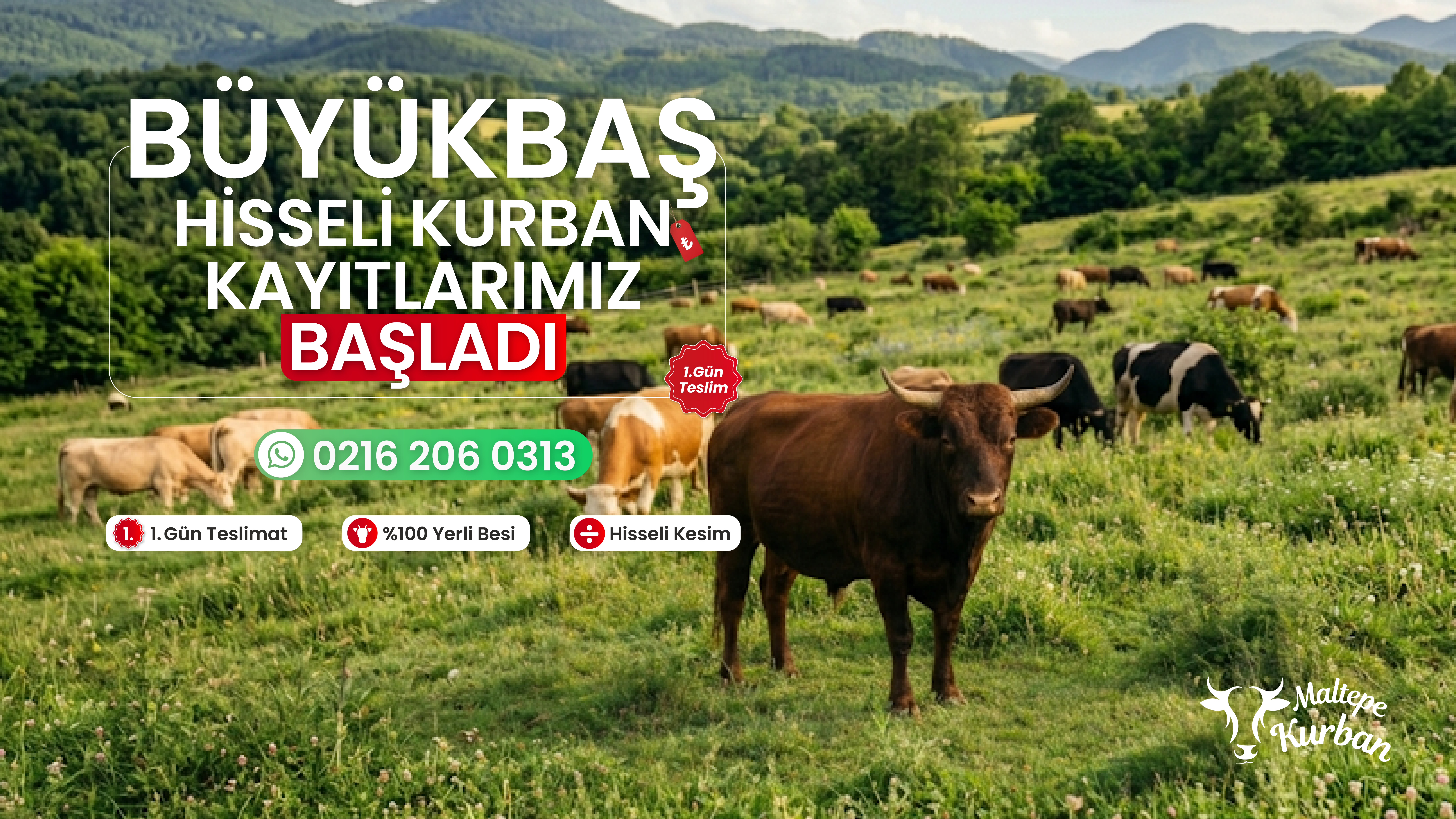 Maltepe Kurban Kampanya 2